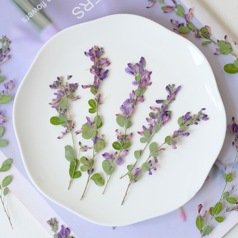 6pcs,nature Lespedeza Formosa  - Resin Art Photo Frame ulasan dan harga