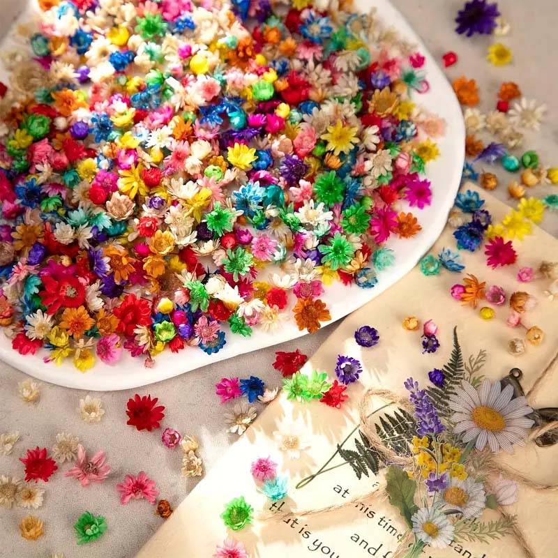 Mixed Colorful Flower for Wax  - Resin Art Design ulasan dan harga