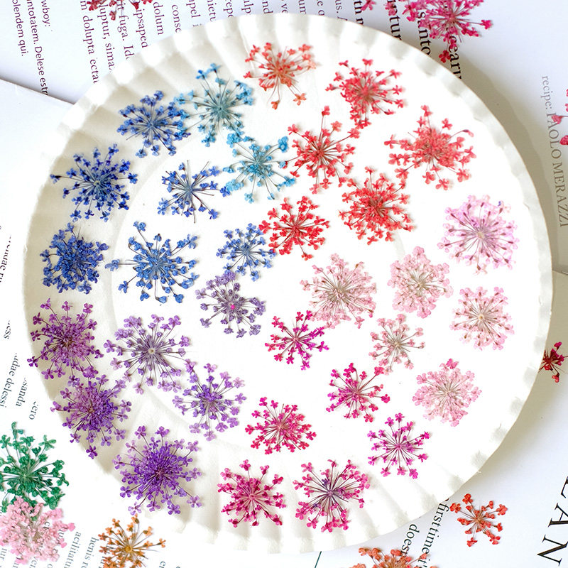24pcs, 2-2.5cm, Nature Dyed Mi - Resin Art For Photo Frame ulasan dan harga