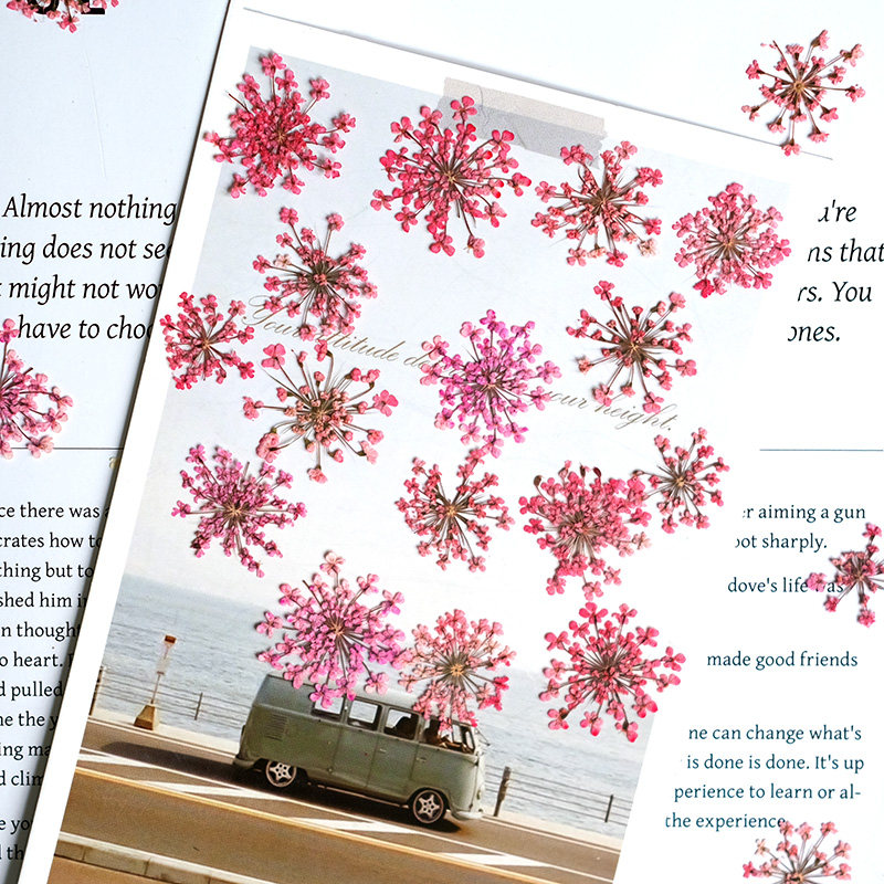 24pcs, 2-2.5cm, Nature Dyed Mi - Resin Art For Photo Frame ulasan dan harga