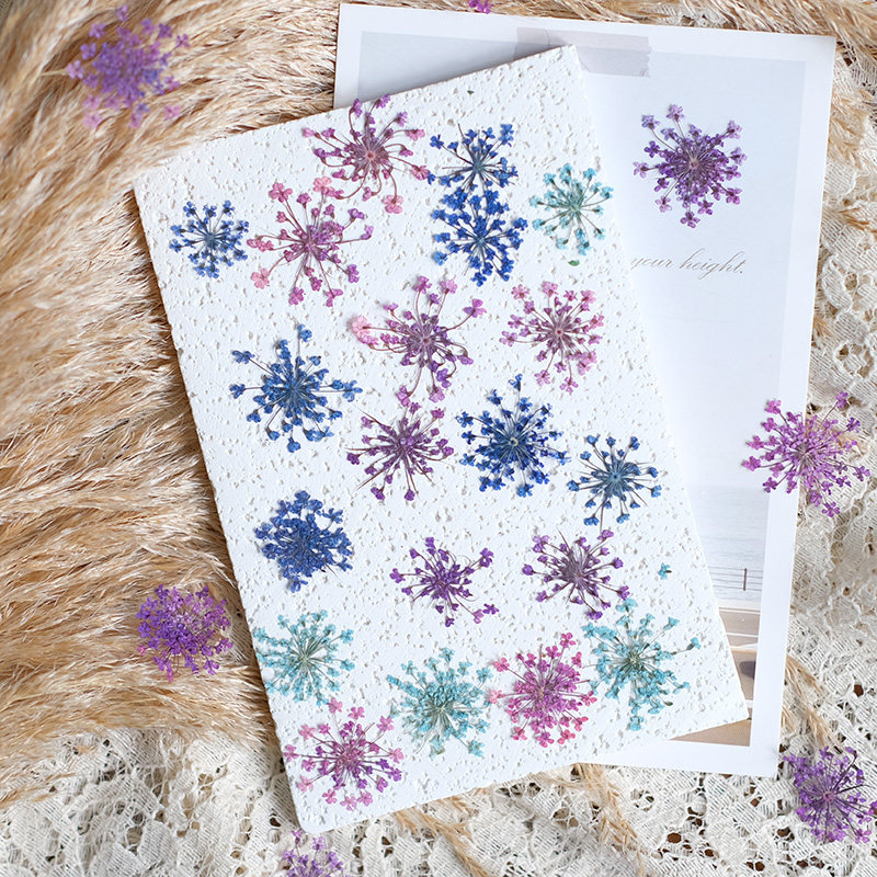 24pcs, 2-2.5cm, Nature Dyed Mi - Resin Art For Photo Frame ulasan dan harga