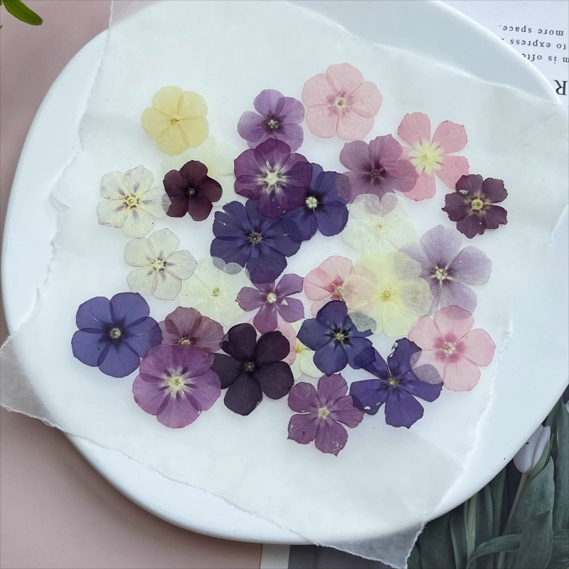 12pcs,Semi-Transparent Niche P - Resin Art For Photo Frame ulasan dan harga