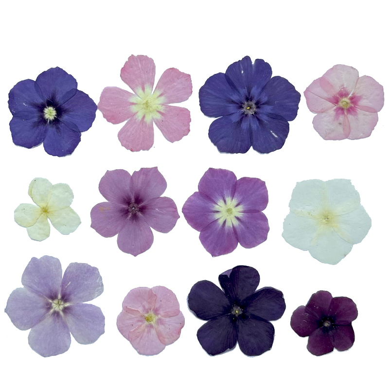 12pcs,Semi-Transparent Niche P - Resin Art For Photo Frame ulasan dan harga